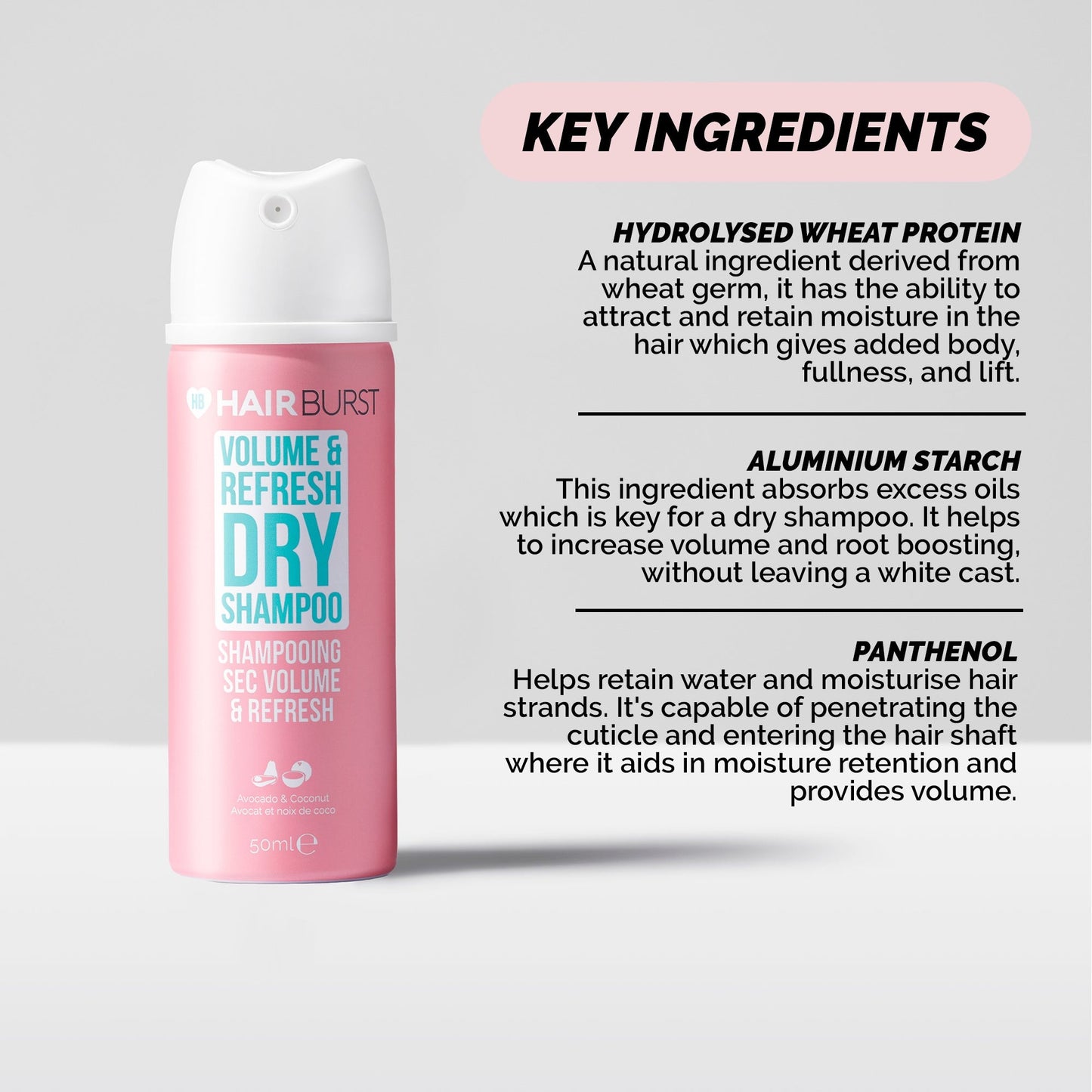 Mini Volume & Refresh Dry Shampoo-1X Dry Shampoo