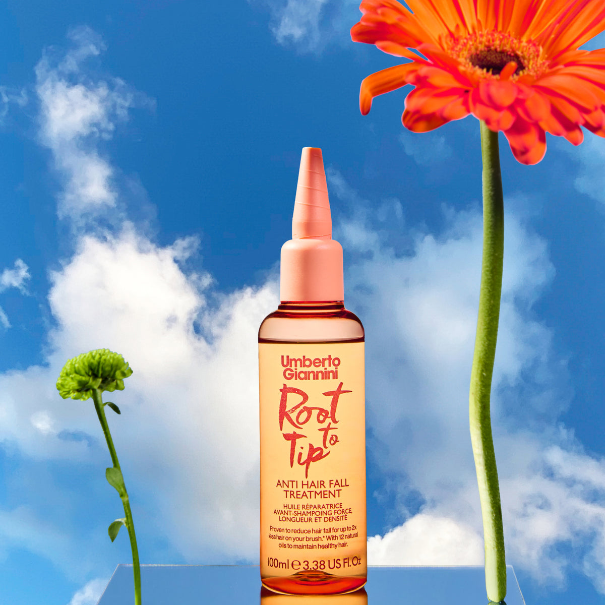 Root to Tip Anti-Hair Fall Treatment